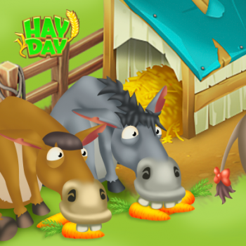 Anes mangent carottes hay day