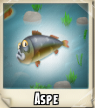 Aspe