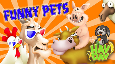 Betisier des animaux hay day blog