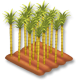 Canne a sucre champ hay day