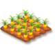 Carottes champ hay day