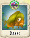 Carpe