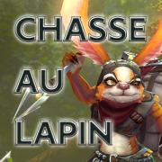 Chasse au lapin mode jeu aov