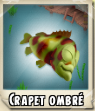 Crapet ombre