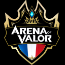 Discord AoV France