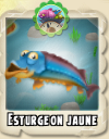 Esturgeon jaune