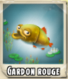 Gardon rouge