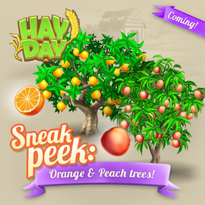 Hay day maj sneak peek arbre orange peche