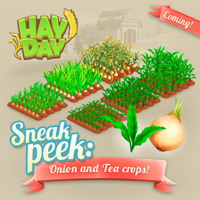 Hay day maj sneak peek oignon culture the