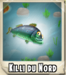 Killi du nord