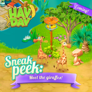 Maj hay day juin 2017 sneak peek 2