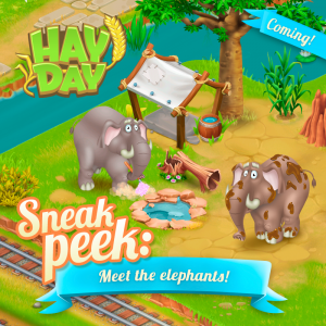 Maj hay day sneak peek 3