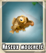 Naseux mouchete
