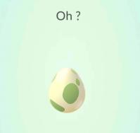 Oeuf pokemon go surprise oh