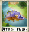 Omble chevalier
