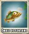 Omble de fontaine
