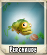 Perchaude