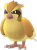 Pidgey