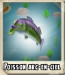 Poisson arc en ciel