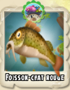 Poisson chat rouge