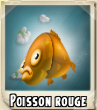 Poisson rouge