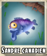 Sandre canadien