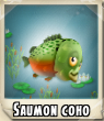 Saumon coho