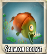 Saumon rouge