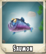 Saumon