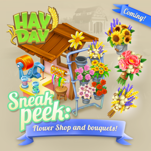 Sneak peek 2 fleuriste maj octobre 2017 hay day
