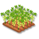 Soja champ hay day