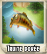 Truite doree